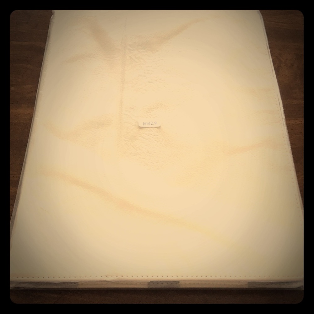 iPad Pro 12.9 case in white